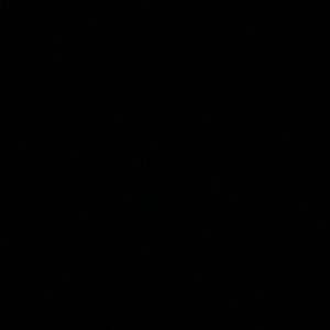 Meet your Posher, Cheyenne